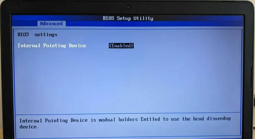 Laptop screen showing a BIOS setup utility with the "Internal Pointing Device" option set to "Enabled".
